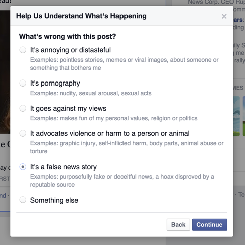 Facebook’s new “False News Flag”, via The Next Web