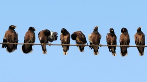 How to use Tweetdeck for newsgathering