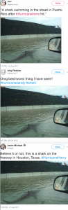 Tweets with the same shark