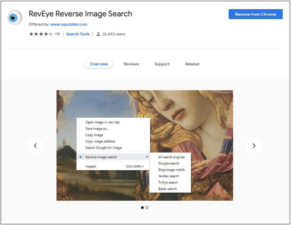 Screenshot of Reveye reverse search page